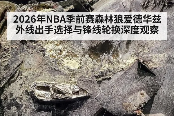 2026年NBA季前赛森林狼爱德华兹外线出手选择与锋线轮换深度观察
